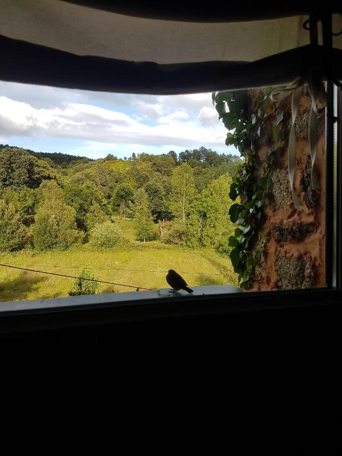 Abrigo Montesinho Hébergement de vacances *