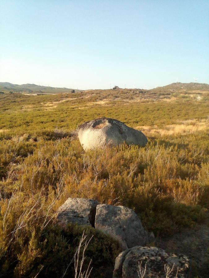 Abrigo Montesinho Montezinho